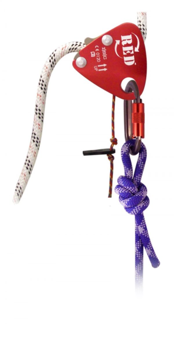 RED Back-up (Popper Cord) - Image 4