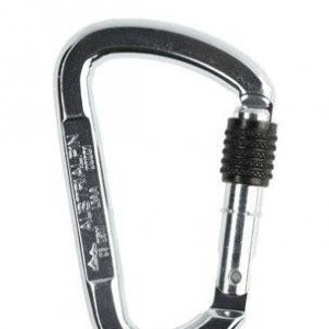 Austri Alpin Offset D S/G Steel Carabiner