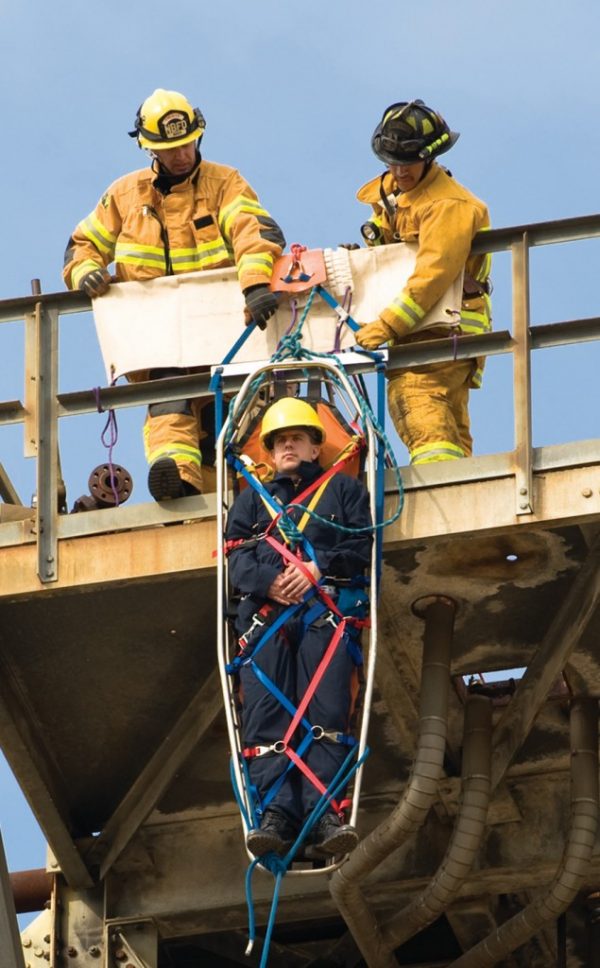 VERTICAL-LIFT LITTER HARNESS - Image 2