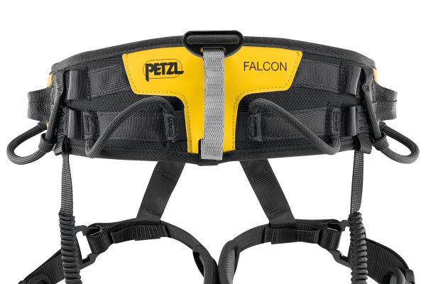 FALCON - Image 3