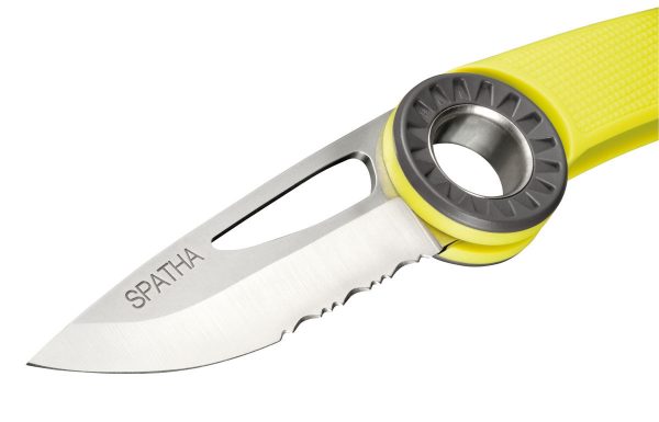 SPATHA - Image 2
