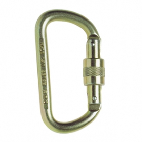 DMM 10mm Equal D S/G Steel Carabiner