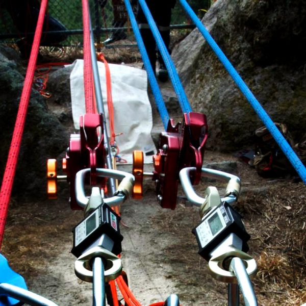 enForcer LOAD CELL - Image 7