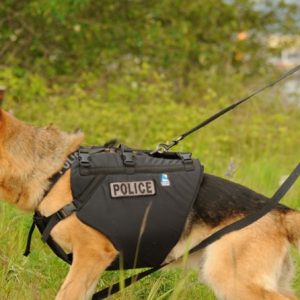 K9 Floater PFD