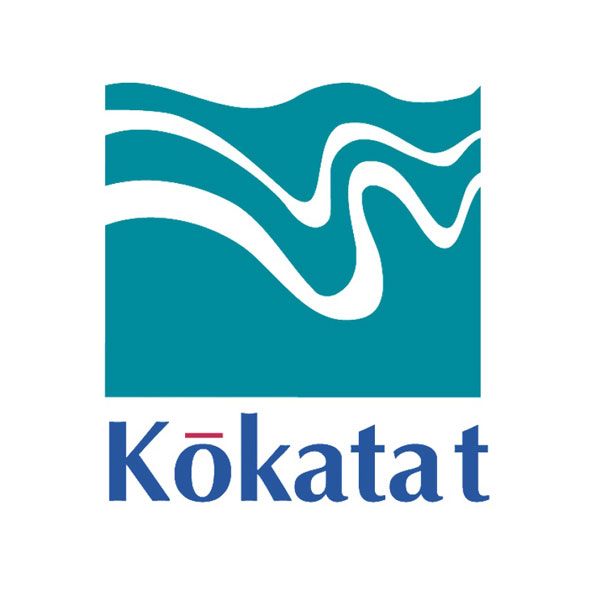 Kokatat