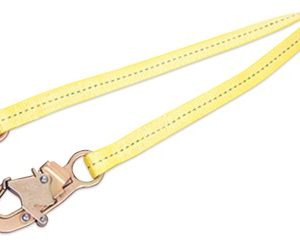 Web Positioning Lanyard
