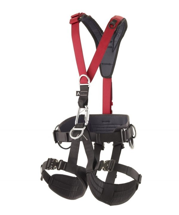 Viking Harness - Image 5