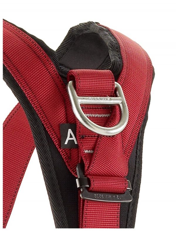 Viking Harness - Image 3